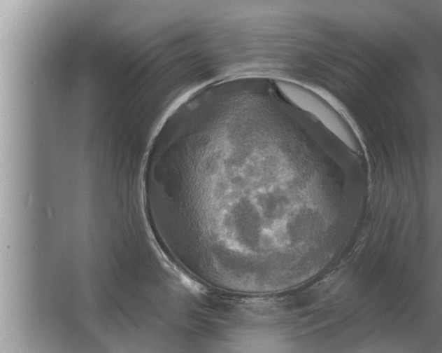 X0000063511341200602032033