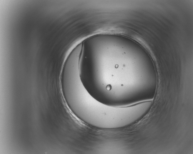 X0000063511344200602032033