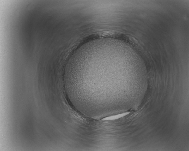 X0000063511345200602032033