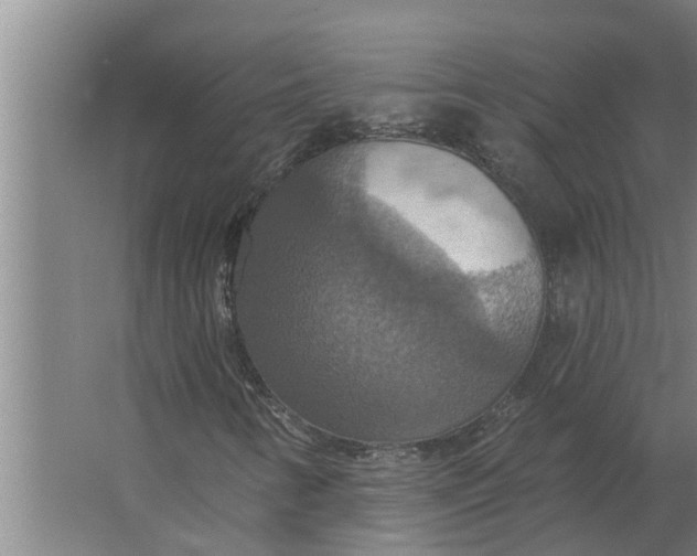 X0000063511346200602032033