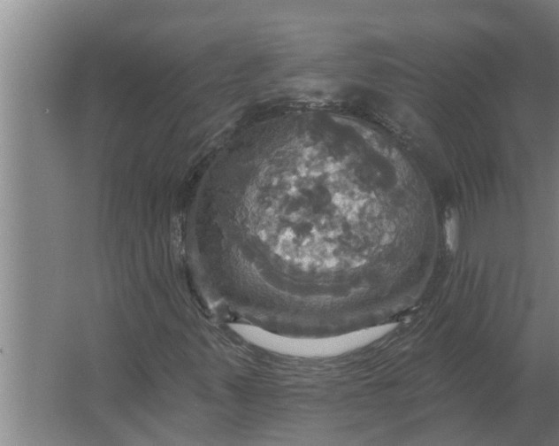 X0000063511347200602032033