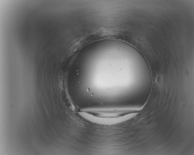 X0000063511348200602032033