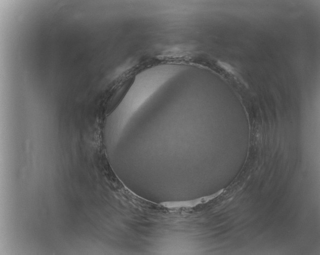 X0000063511350200602032033