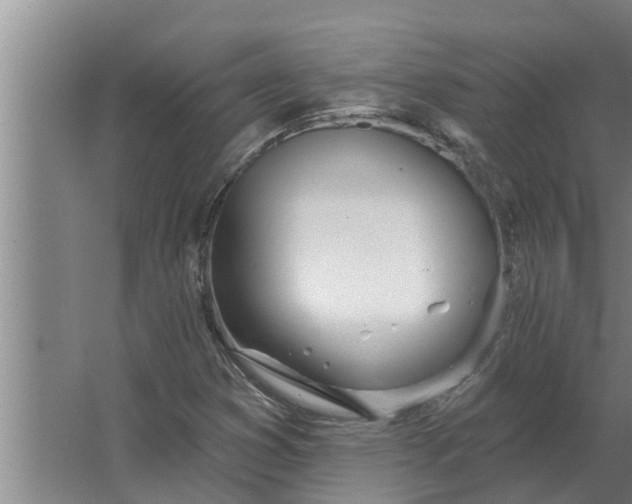 X0000063511353200602032033