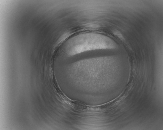 X0000063511354200602032032