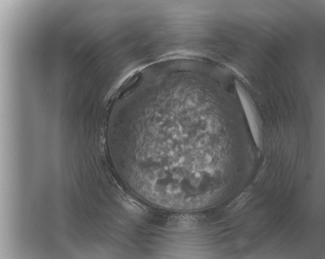 X0000063511355200602032032