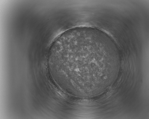 X0000063511359200602032032