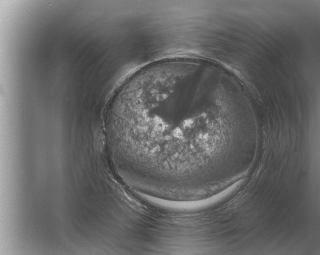 X0000063511363200602032032