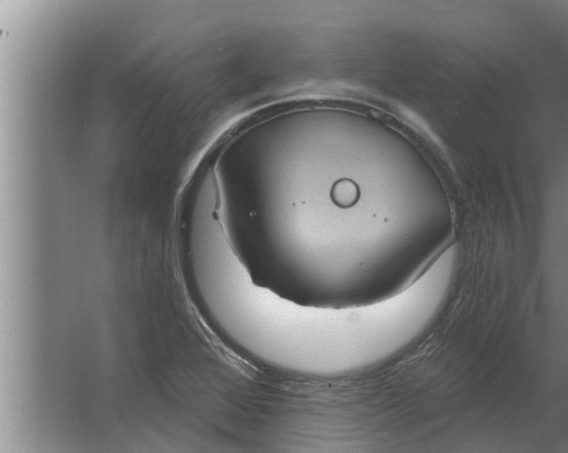 X0000063511368200602032032