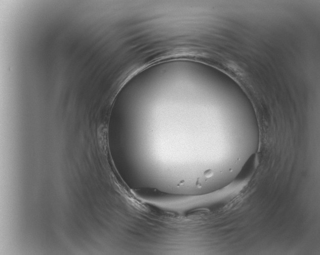 X0000063511369200602032032