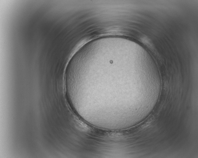 X0000063511370200602032032