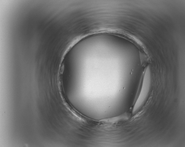 X0000063511373200602032032