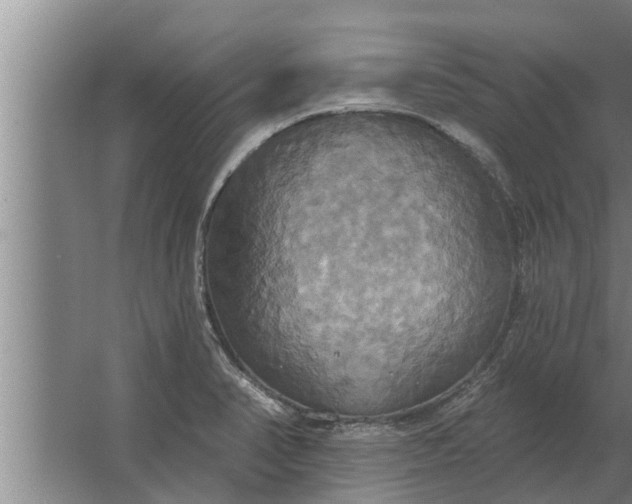 X0000063511374200602032032