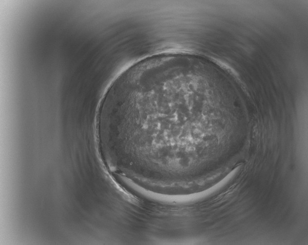 X0000063511375200602032032