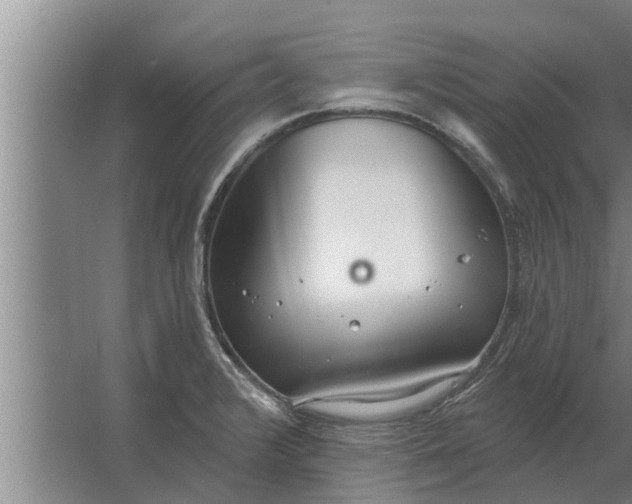 X0000063511376200602032032