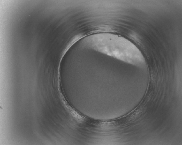 X0000063511378200602032032