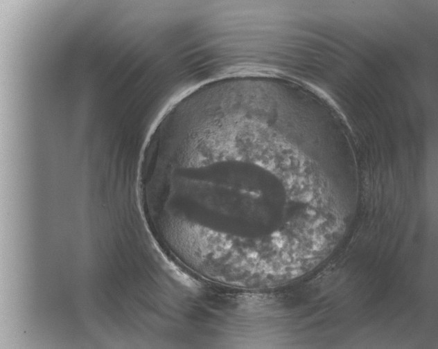 X0000063511379200602032032