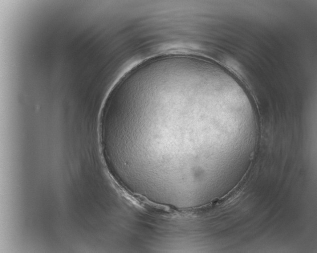 X0000063511384200602032032