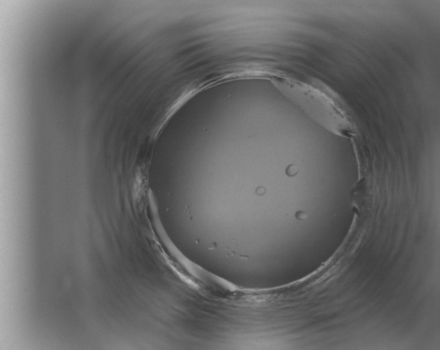 X0000063511385200602032032