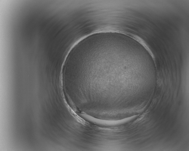 X0000063511388200602032032