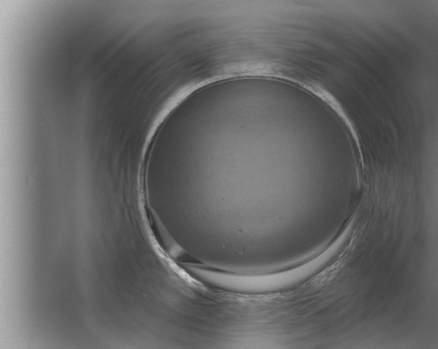 X0000063511389200602032032