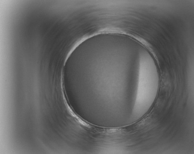 X0000063511390200602032032