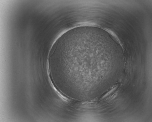 X0000063511391200602032032