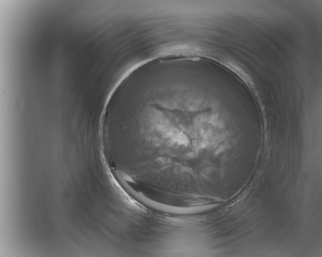 X0000063511392200602032032