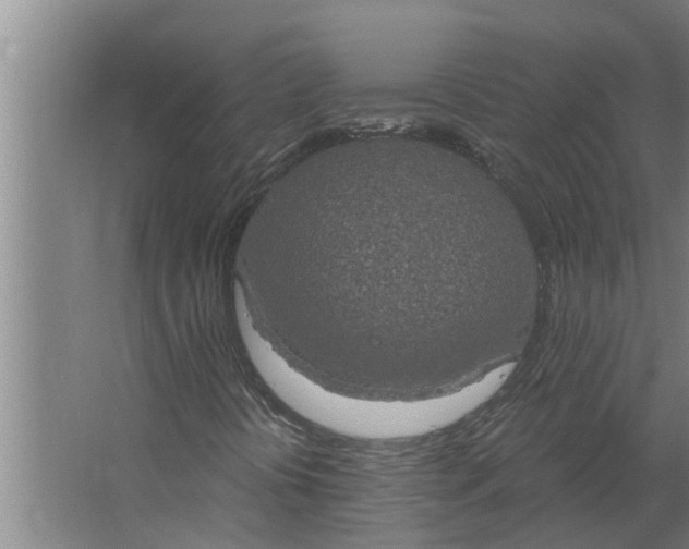 X0000063511394200602032031