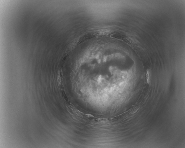 X0000063511395200602032031