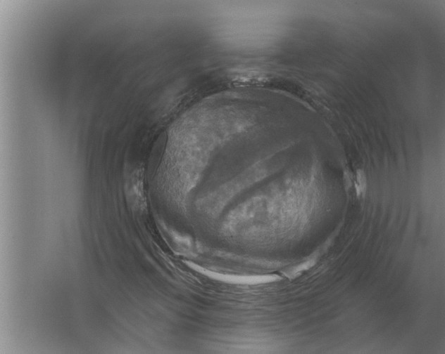 X0000063511396200602032031