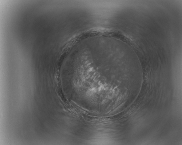 X0000063511397200602032031