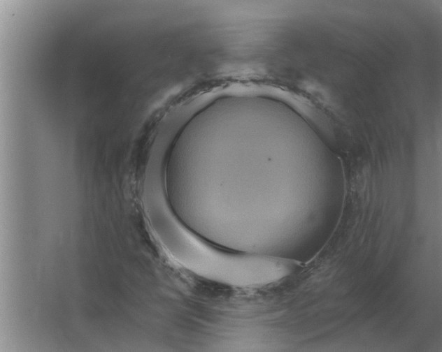 X0000063511398200602032031