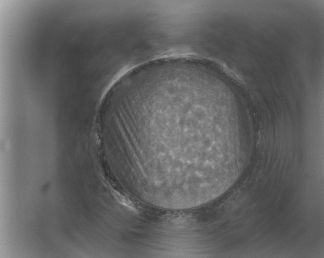 X0000063511400200602032031