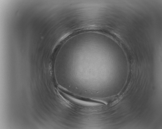 X0000063511402200602032031