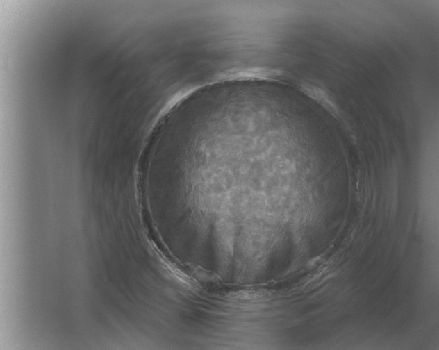 X0000063511404200602032031