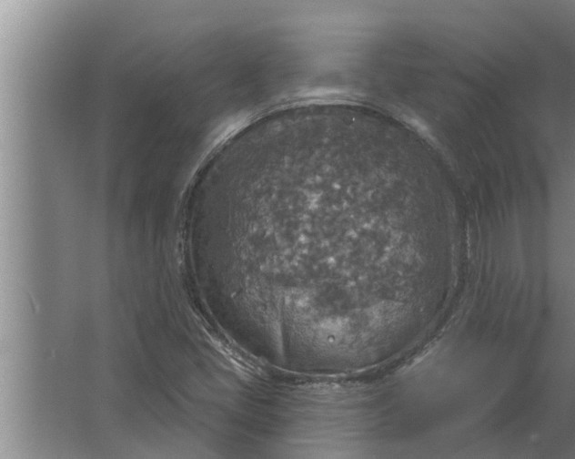 X0000063511405200602032031