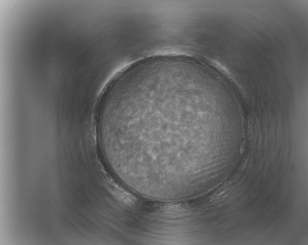 X0000063511408200602032031