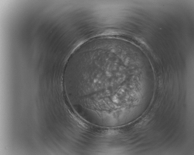 X0000063511409200602032031