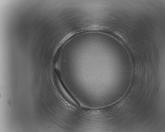 X0000063511410200602032031