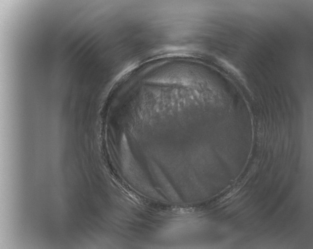 X0000063511411200602032031