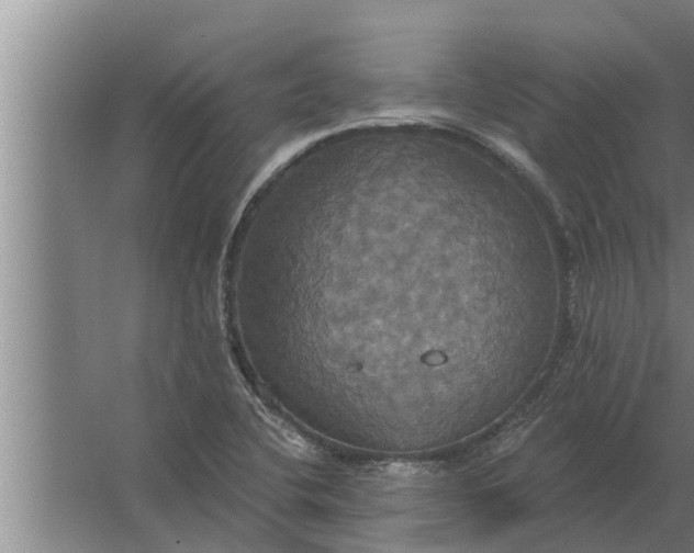 X0000063511412200602032031