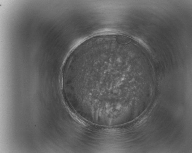 X0000063511413200602032031