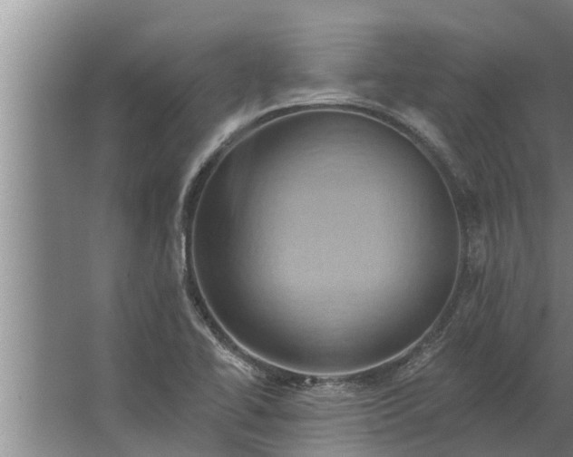 X0000063511414200602032031