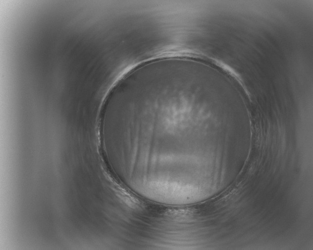 X0000063511415200602032031