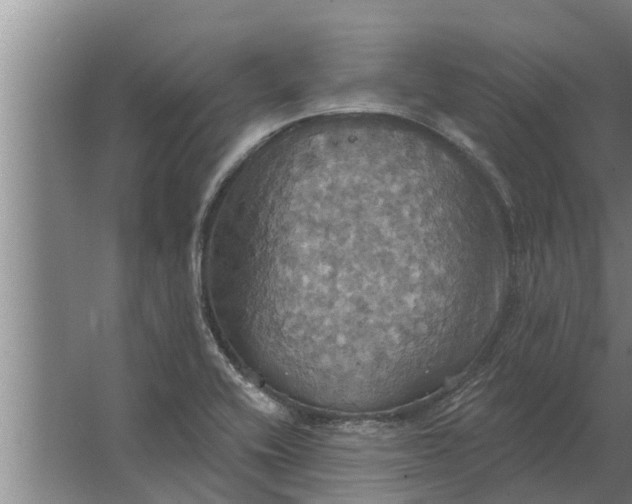 X0000063511416200602032031