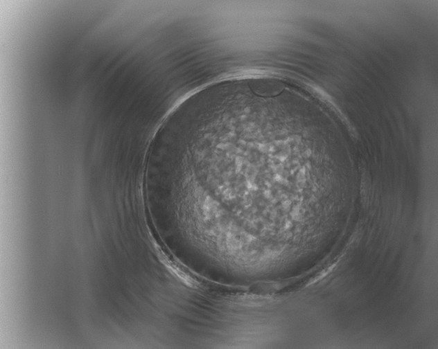 X0000063511417200602032031