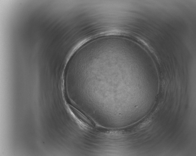 X0000063511418200602032031