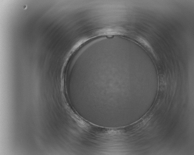 X0000063511419200602032031