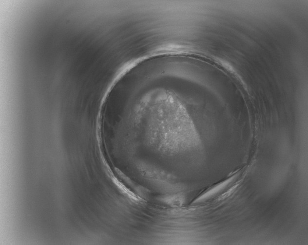 X0000063511421200602032032